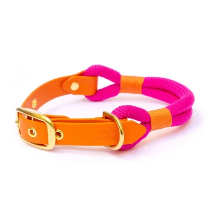 Ibiza Hondenhalsband