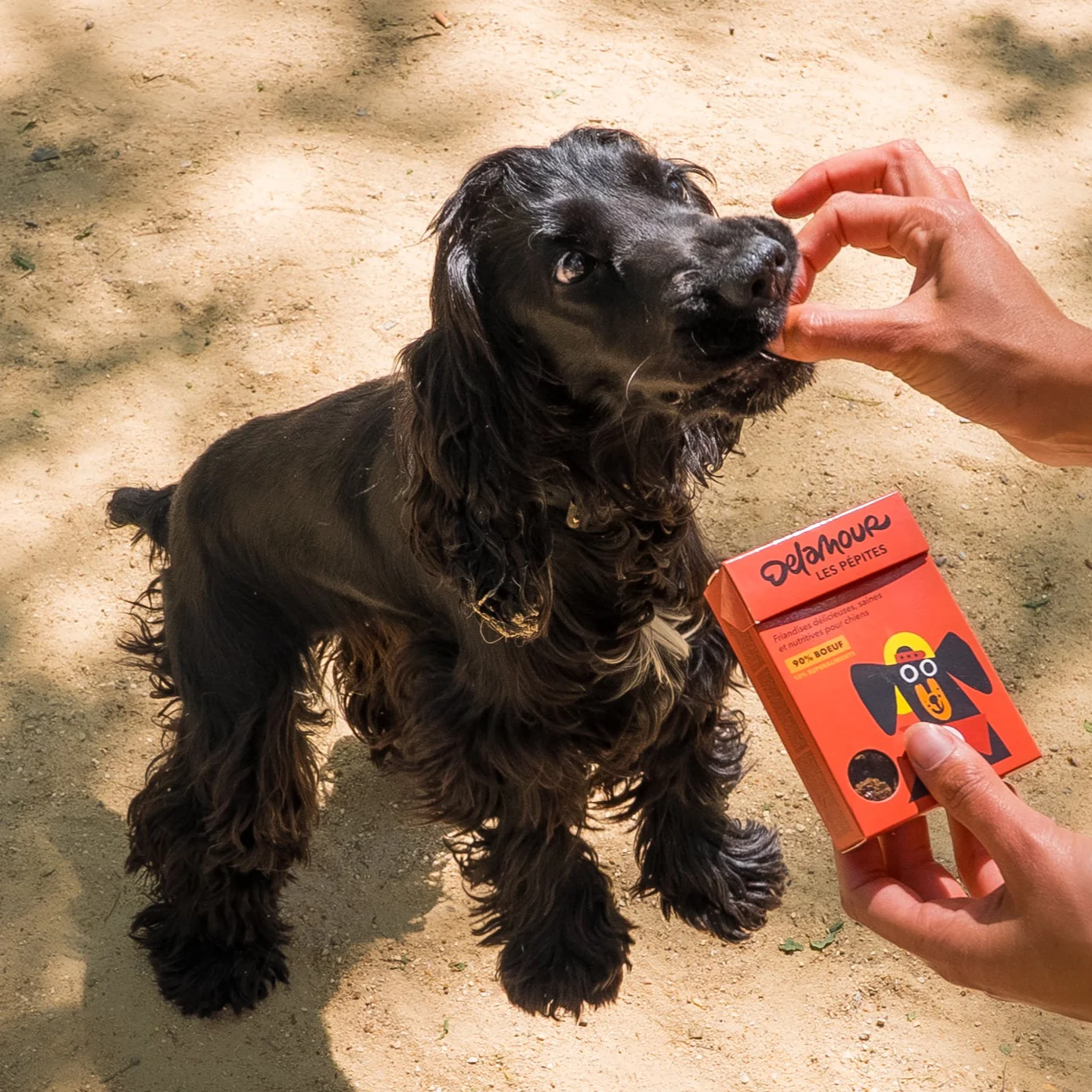 Les Pépites – Beef Dog Treats (75 gr) - Afbeelding 2