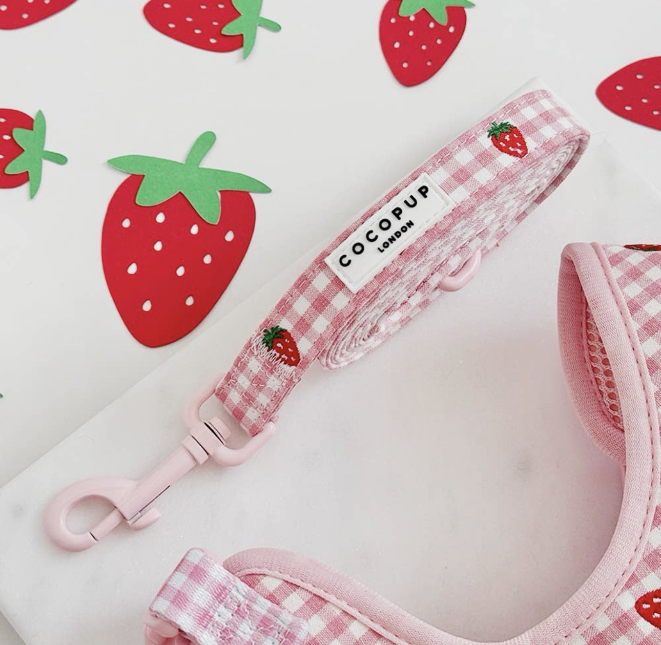 Cocopup London Strawberry Picnic Hondenriem