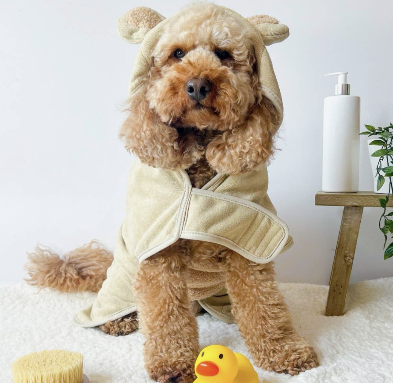 Cocopup Londen Teddy Droogjas Voor Honden