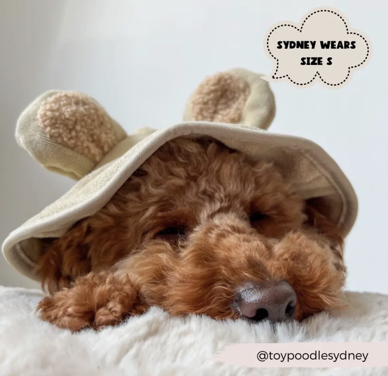 Cocopup Londen Teddy Droogjas Voor Honden - Afbeelding 5