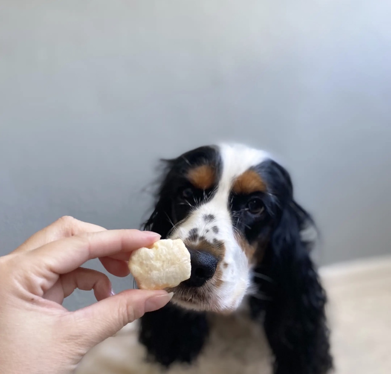 Poppy - Gepofte Kaassnacks (35gr) - Afbeelding 3